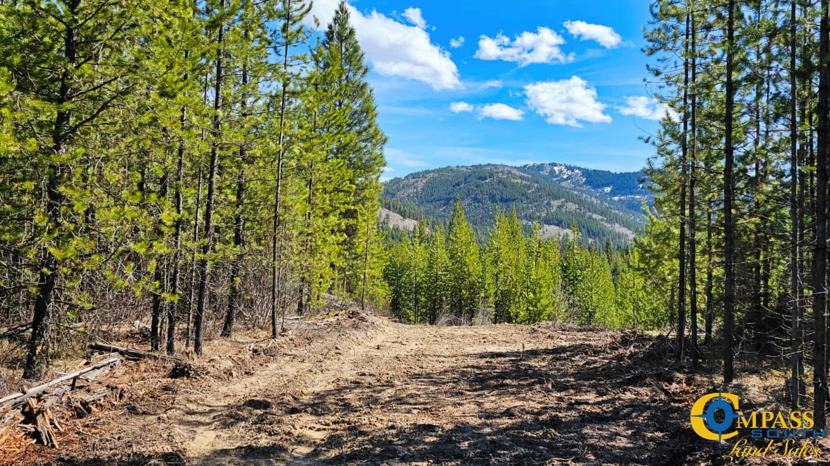 Montana Land for Sale Houghton Creek Ranch Lot 7