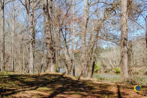 Chattahoochee Ridge Farm-30