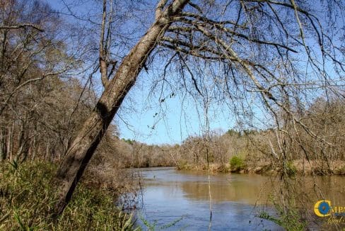 Chattahoochee Ridge Farm-33