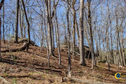 Chattahoochee Ridge Farm-38