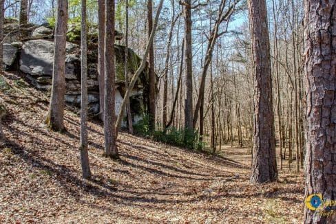 Chattahoochee Ridge Farm-40