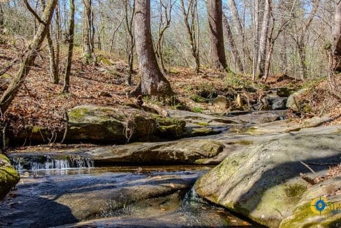 Chattahoochee Ridge Farm-45