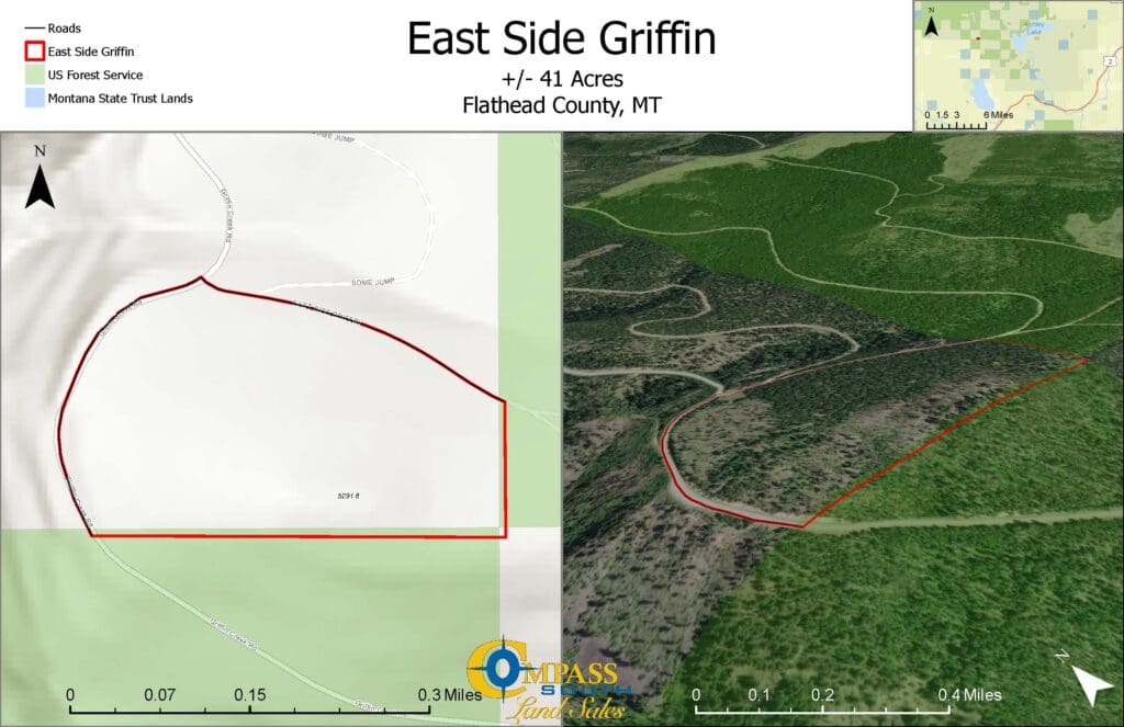 EAST SIDE GRIFFIN TRACT