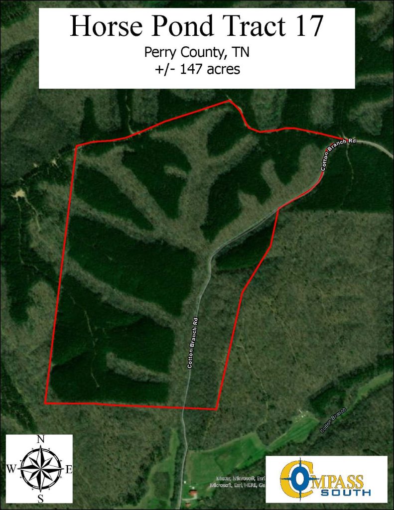 Horse Pond Tract 17 Aerial 