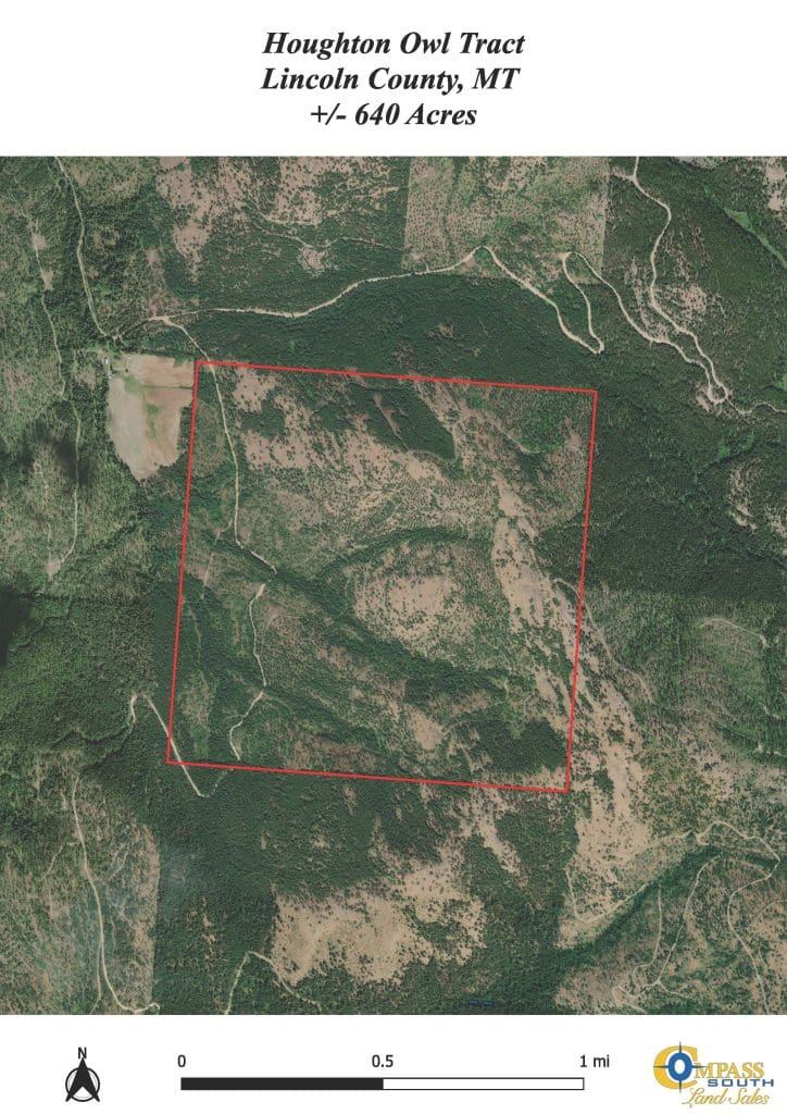 Houghton Owl Tract Loc1