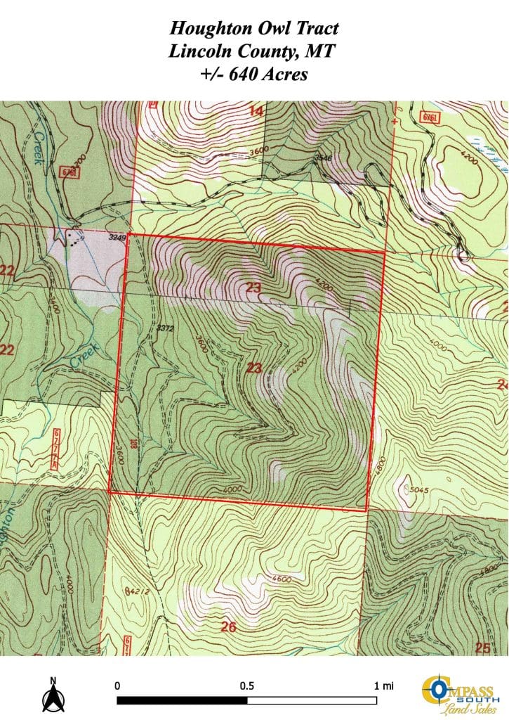 Houghton Owl Tract