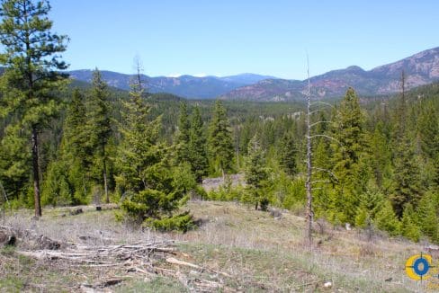 Houghton Owl Tract - (22)