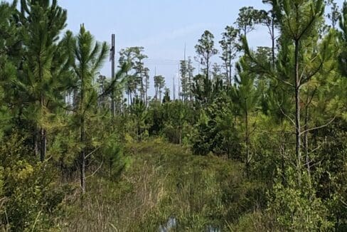 Meyes_western access trail