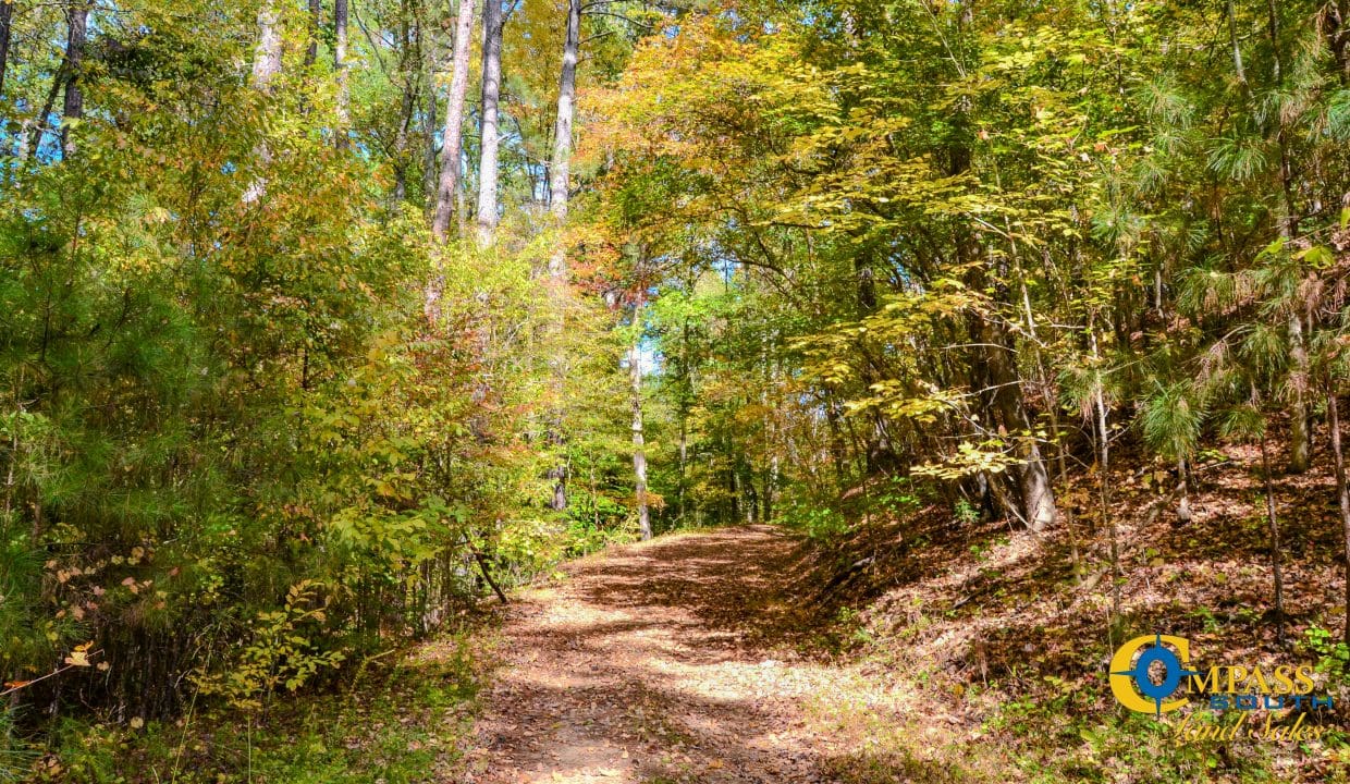 Rocky Branch Land for Sale in South Carolina-03