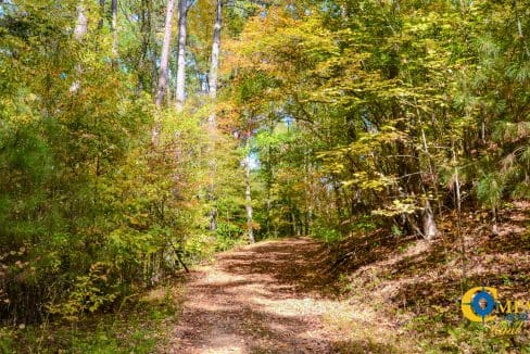 Rocky Branch Land for Sale in South Carolina-03