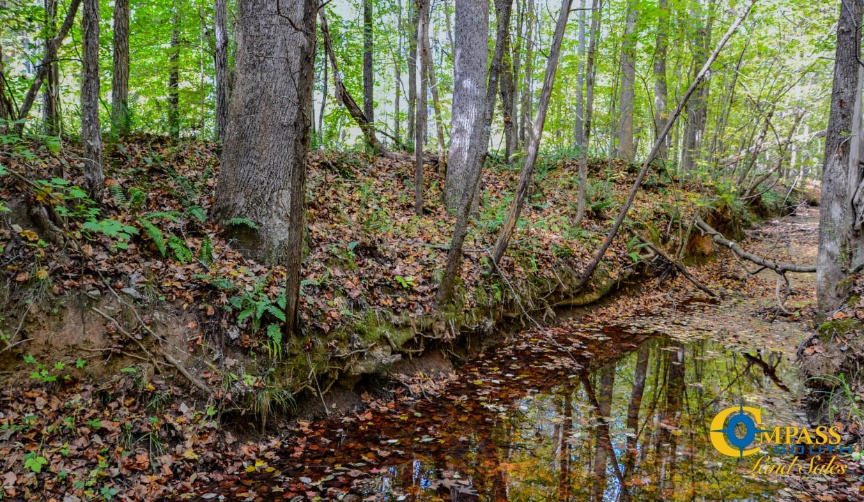 Rocky Branch Land for Sale in South Carolina-04