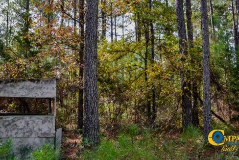 Rocky Branch Land for Sale in South Carolina-06