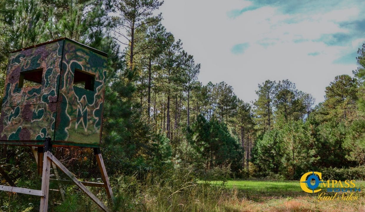 Rocky Branch Land for Sale in South Carolina-08