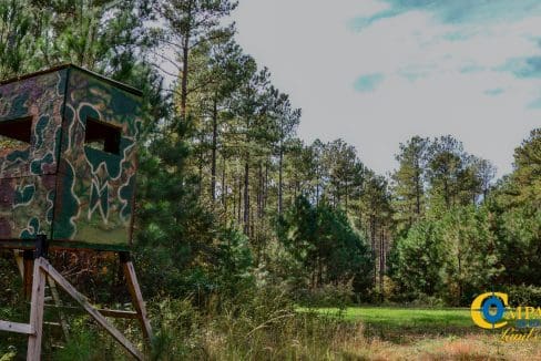 Rocky Branch Land for Sale in South Carolina-08