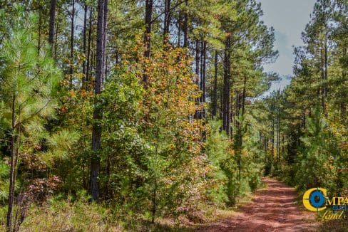 Rocky Branch Land for Sale in South Carolina-09