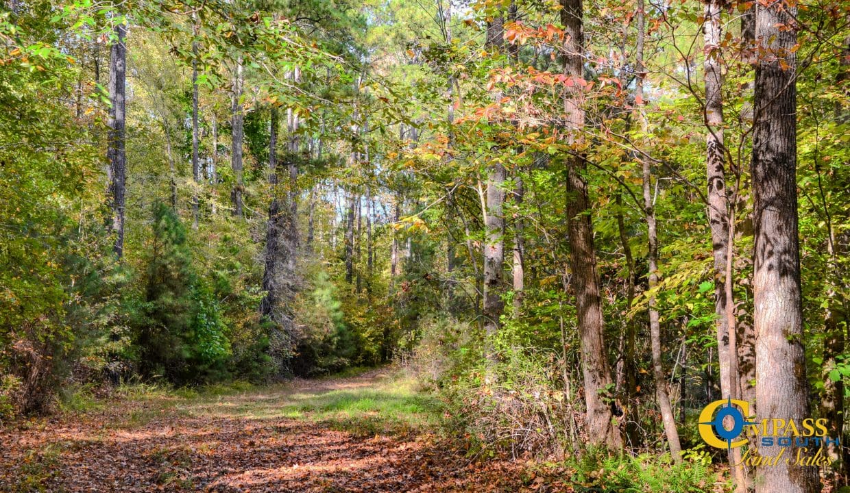 Rocky Branch Land for Sale in South Carolina-14