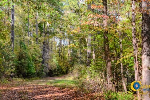 Rocky Branch Land for Sale in South Carolina-14