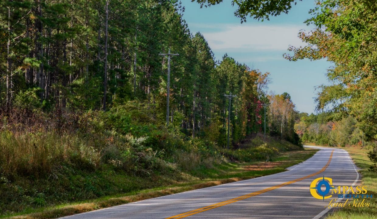 Rocky Branch Land for Sale in South Carolina-16