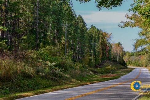 Rocky Branch Land for Sale in South Carolina-16