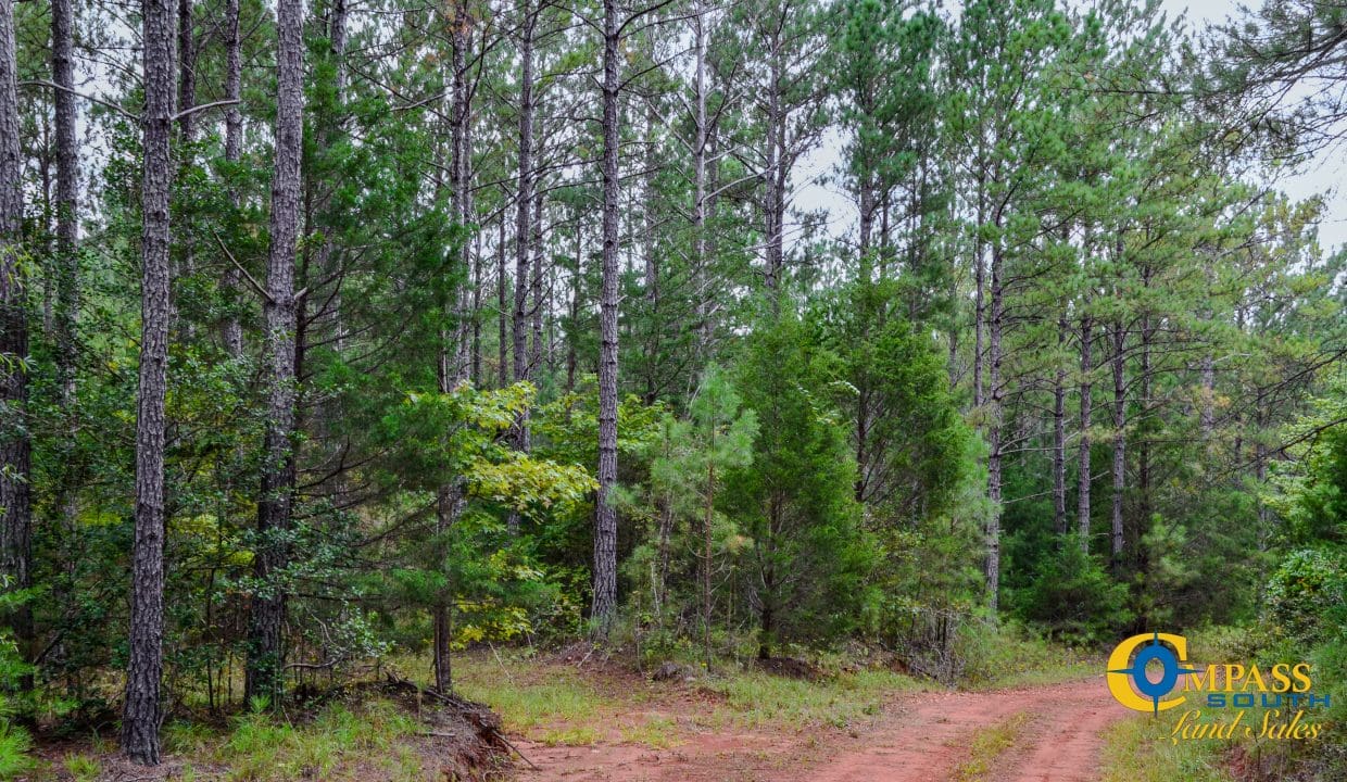 Rocky Branch Land for Sale in South Carolina-24