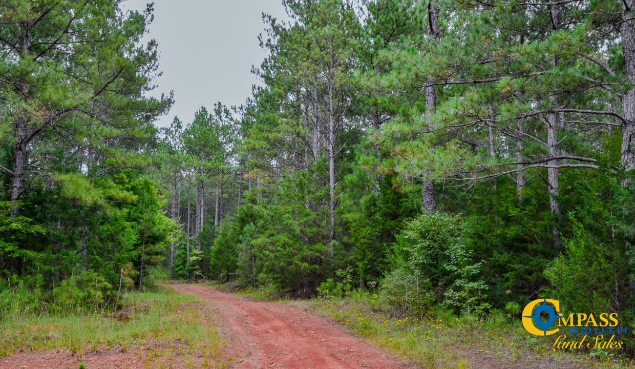 Rocky Branch Land for Sale in South Carolina-25