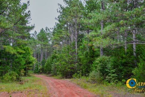 Rocky Branch Land for Sale in South Carolina-25