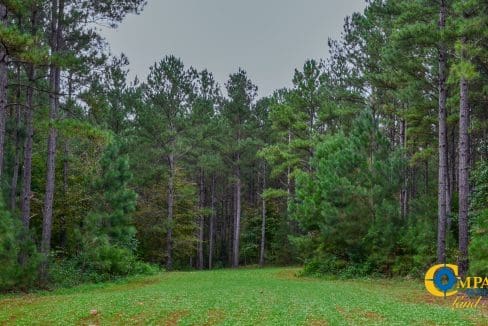 Rocky Branch Land for Sale in South Carolina-26