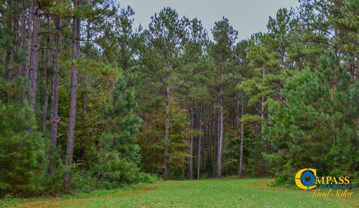 Rocky Branch Land for Sale in South Carolina-27