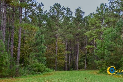 Rocky Branch Land for Sale in South Carolina-27