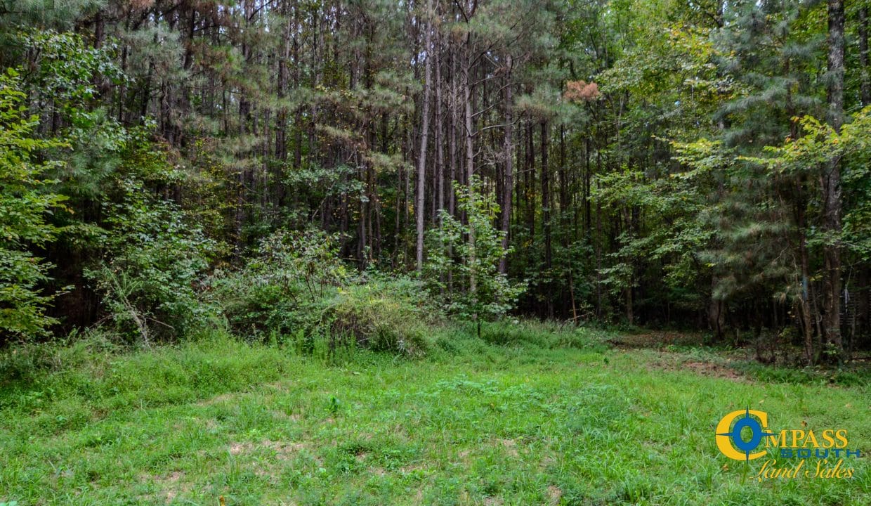 Rocky Branch Land for Sale in South Carolina-30