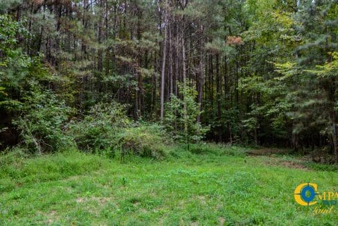 Rocky Branch Land for Sale in South Carolina-30