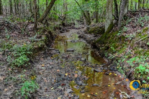 Rocky Branch Land for Sale in South Carolina-32