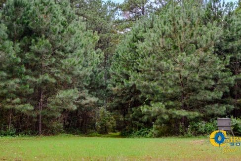 Rocky Branch Land for Sale in South Carolina-35