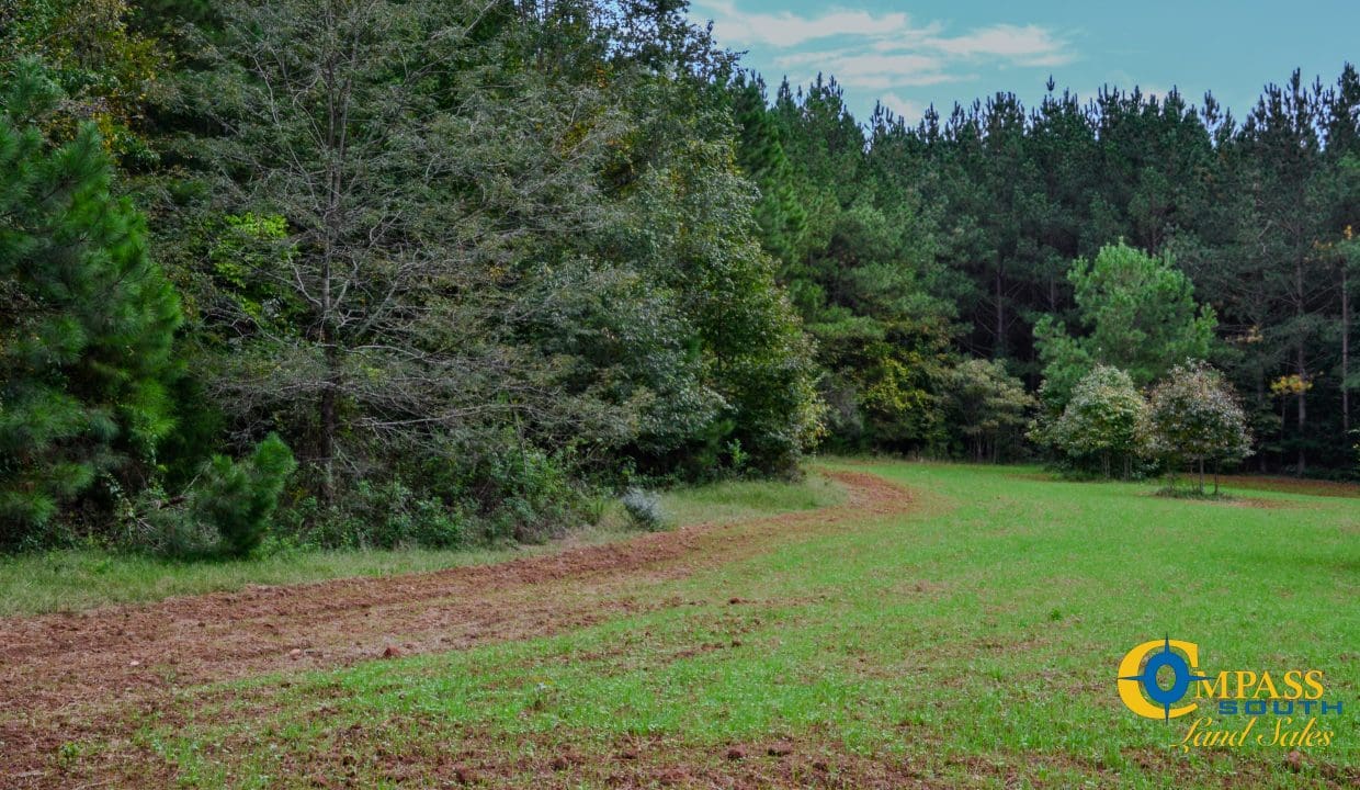 Rocky Branch Land for Sale in South Carolina-40