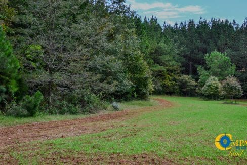 Rocky Branch Land for Sale in South Carolina-40