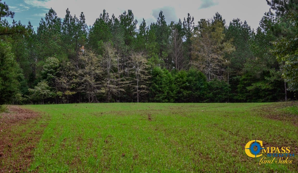 Rocky Branch Land for Sale in South Carolina-41