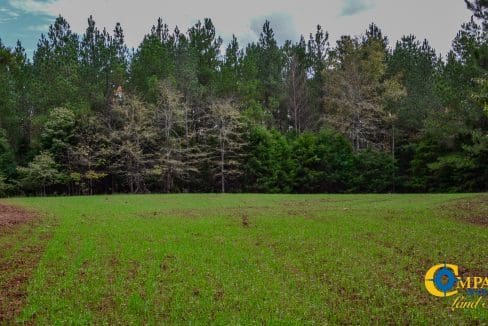 Rocky Branch Land for Sale in South Carolina-41