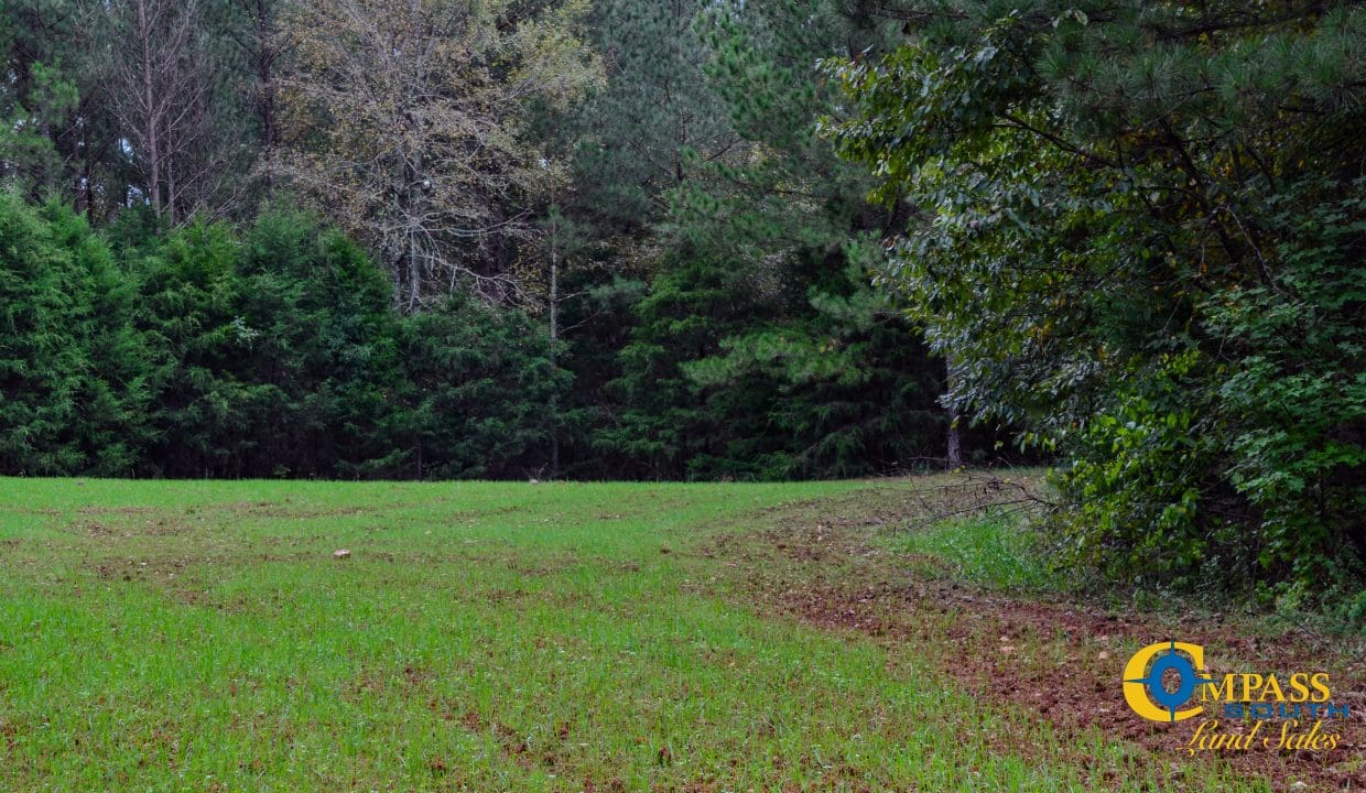 Rocky Branch Land for Sale in South Carolina-43