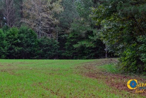 Rocky Branch Land for Sale in South Carolina-43