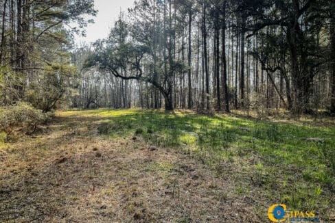 Carroll Tract Wildlife Plot