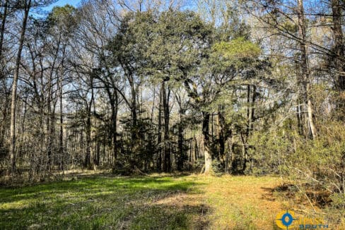 Carroll Tract Wildlife Plot 2