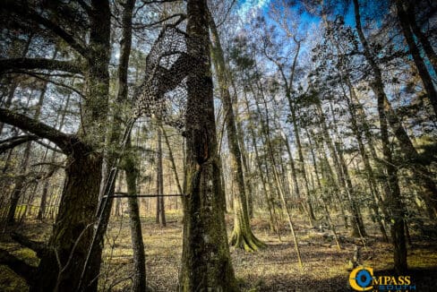 Carroll Tract Deer Stand 2