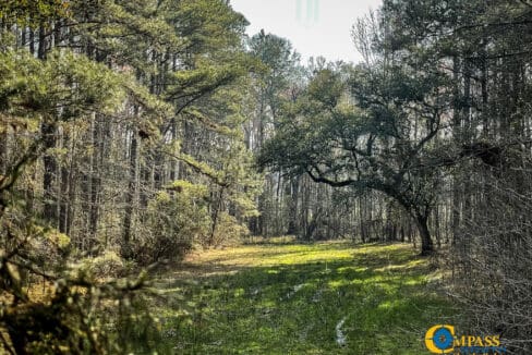 Carroll Tract Plot