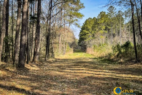 Carroll Tract Entrance Road