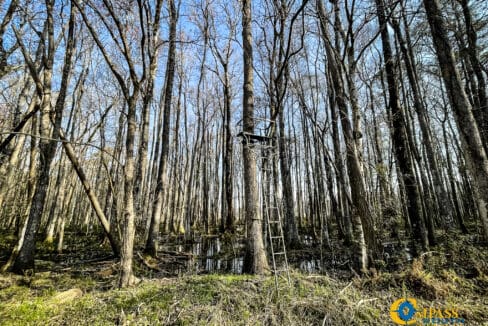 Carroll Tract Deer Stand