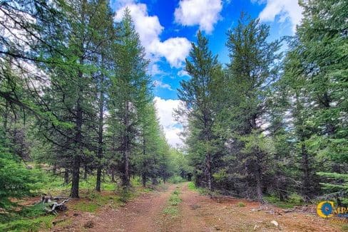 Two Creeks Flathead County, Montana-07