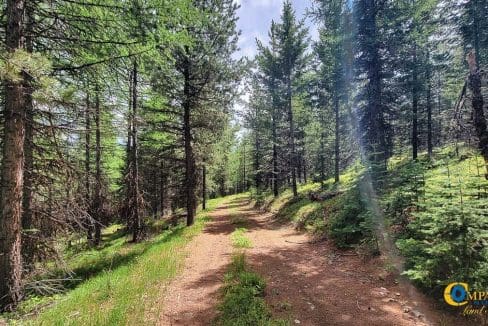 Two Creeks Flathead County, Montana-08