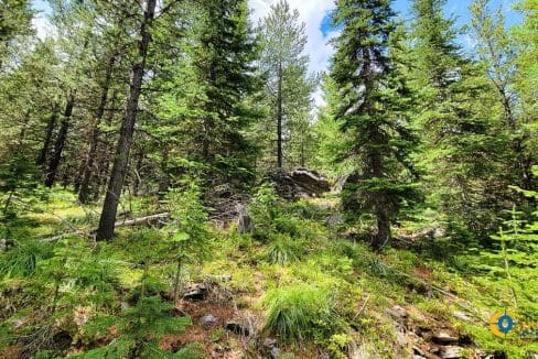 Two Creeks Flathead County, Montana-10