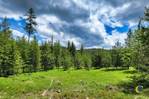 Two Creeks Flathead County, Montana-14