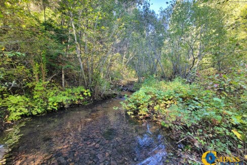 Mountain Creek Hunting Ranch -4